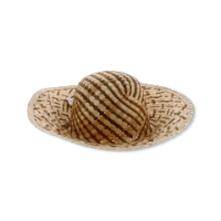 Espana style sun hat for women