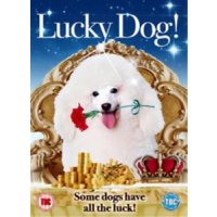 The Lucky Dog! DVD movie cover