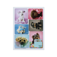 Six dog-themed refrigerator magnets in assorted designs