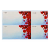 ENVELOPE LABELS