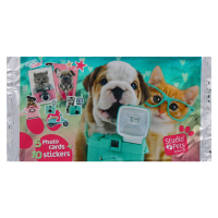 STDIO PETS 3 CARDS & 10 STICKERS