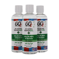 Go2 Anti - Bacterial Hand Gel100ml