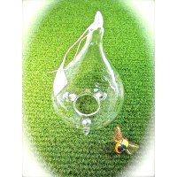 Glass blown wasp catcher for humane insect control