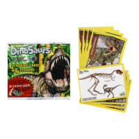 Dinosaur themed cards and stickers in a 50 pack