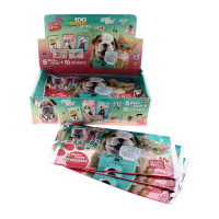 Studio Pet Stickers and Cards display box
