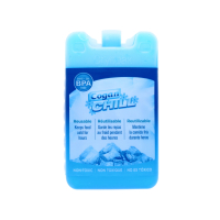 Wholesale Reusable Ice Pack BPA Free