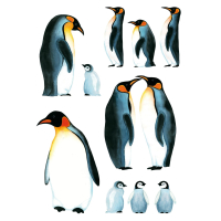 WALL DECO TATTOO PENGUIN