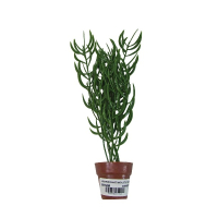 Artificial aquarium plants and small terri pot decorations