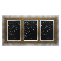 GOLD TRIPLE PHOTO FRAME