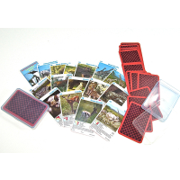 ENDANGERED SPECIES PLAYING CARDS ASSORTED