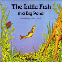 The Little Fish In A Big Pond children's book