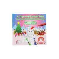 A TRIP TO THE NORTH POLE AMELIA BOOK