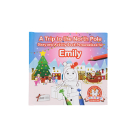 A Trip To The North Pole Emily activity book