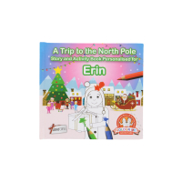 A Trip To The North Pole Erin Book cover