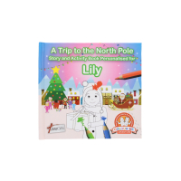 A Trip To The North Pole Lily Book for children