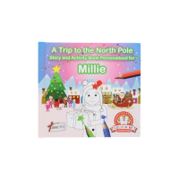 A Trip To The North Pole Millie Book