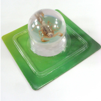 Scorpion Marble Ball Decoration, clearance item
