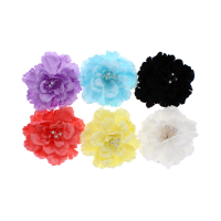 Assorted colour flower hair clips for adding style