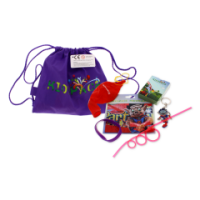 Purple Gift Bag with Wristband and Keychain