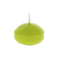 Apple shape scented candle in green