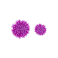 Cake decorating daisy embosser cutters for floral designs