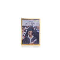A4 Gold Frame 210 x 297mm, ideal for bulk display