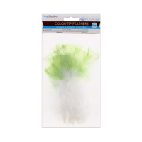 White feathers with mint green tips for crafting