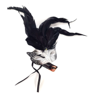 SILVER MASK NO LACE WITH FEATHERS