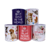 XL metal money tin for home savings