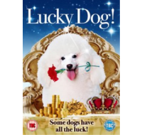 The Lucky Dog! DVD movie cover