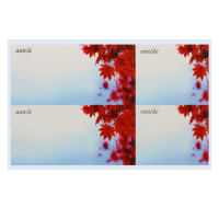 ENVELOPE LABELS