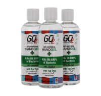 Go2 Anti - Bacterial Hand Gel100ml