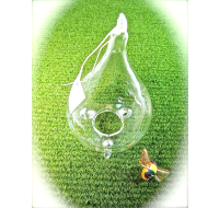Glass blown wasp catcher for humane insect control