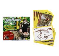 Dinosaur themed cards and stickers in a 50 pack