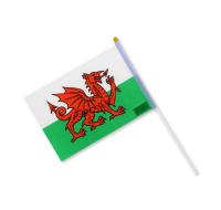 Mini Welsh Flag Handheld Size