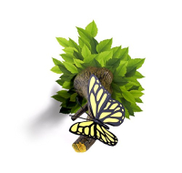Butterfly Three D Deco Wall Night Light