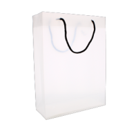 White gift bag with black rope handles