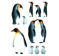 WALL DECO TATTOO PENGUIN