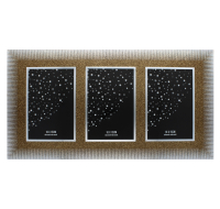 GOLD TRIPLE PHOTO FRAME