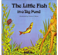 The Little Fish In A Big Pond children's book