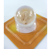 MARBLE BALL DECORATION FOSIL