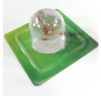 Scorpion Marble Ball Decoration, clearance item