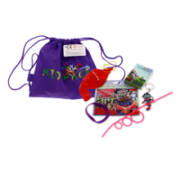 Purple Gift Bag with Wristband and Keychain