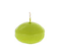 Apple shape scented candle in green