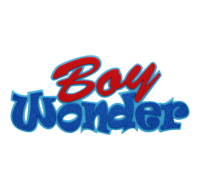 3D 12 Inch 'Boy Wonder' Foam Sign