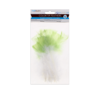 White feathers with mint green tips for crafting