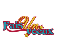 3D 'Fais Un Vouex' Foam Sign 12 inch decorative item