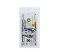Decorative 100 Dollar Bill Money Envelope close up