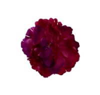 Purple flower hair band with clip, unbranded.
