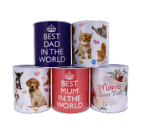 XL metal money tin for home savings